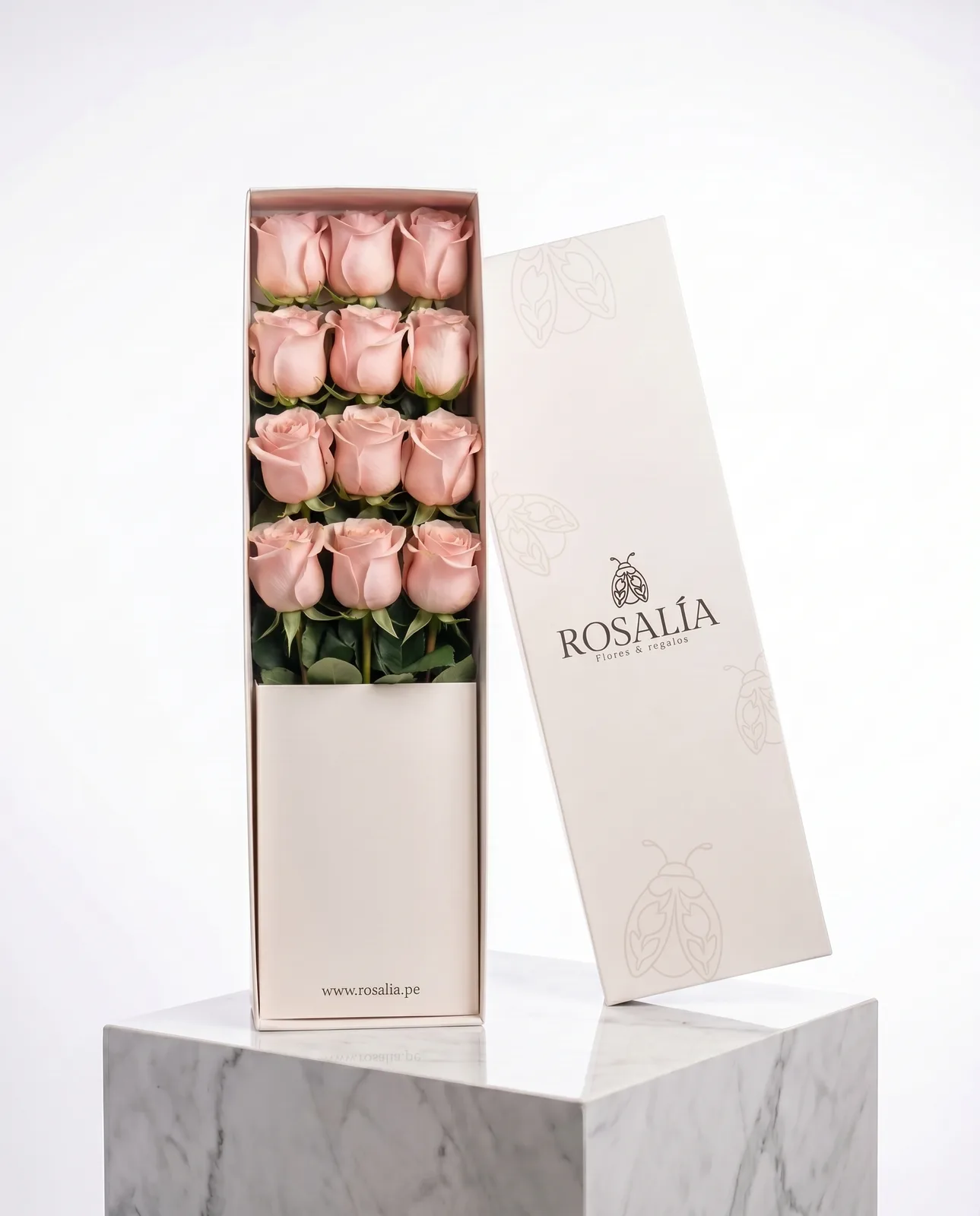 12 Rosas Rosadas